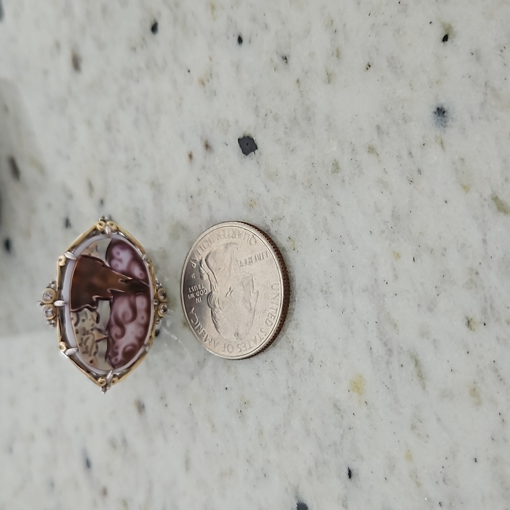 Tiger shell cameo silver ring - Picture 7 of 7